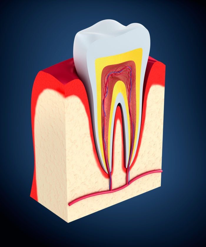 Symptoms Gum Disease Loveland CO